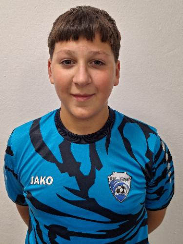 Emir Luinovic