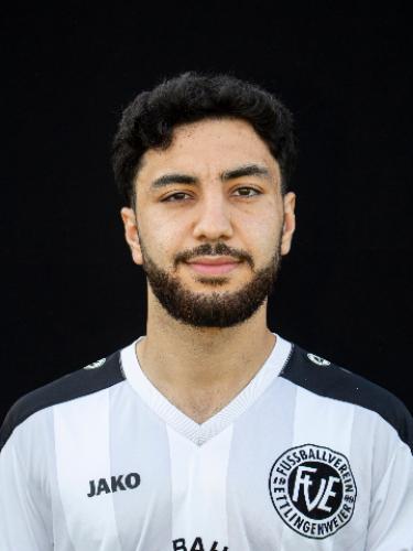 Emir-Halit Karaismailoglu