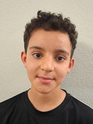 Anas Hicham El Bajati