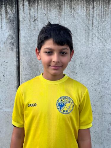 Alexander van der Wehr