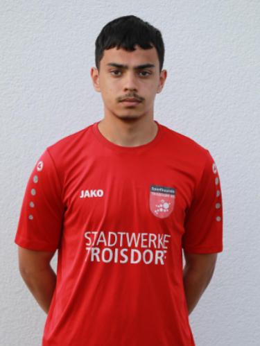 Mikail Sevki Can