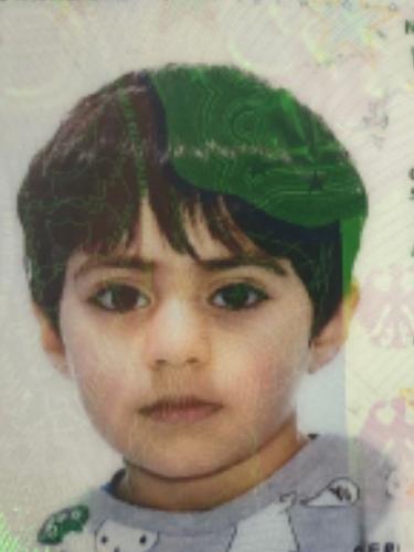 Waleed A Aldousari