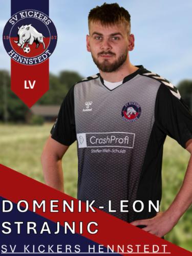 Domenik-Leon Strajnic