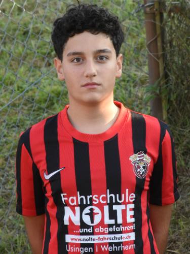 Raman Arabkashani
