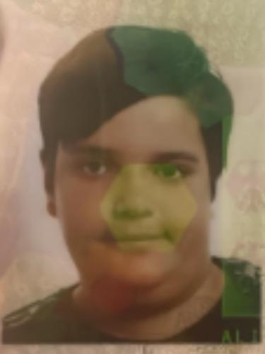 Ali ALIJA