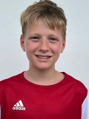 Leo Villis