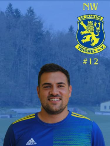 Nico Werschowetz