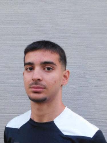 Efe Ergül