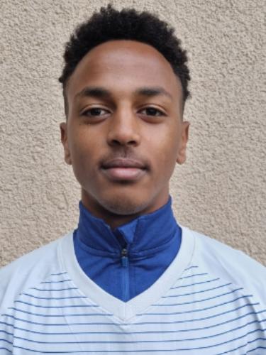 Biniam Michael Tsegay