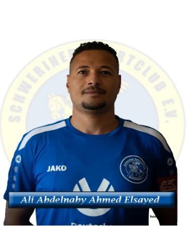 Ali Abdelnaby Ahmed Elsayed