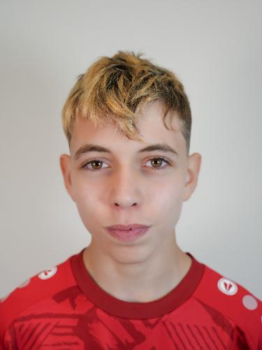 Daniel-Gabriel Vintila
