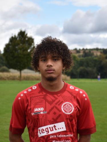 Dion Farell Levy