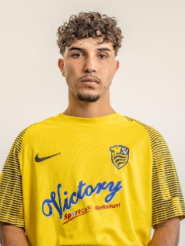 Jamin Aljaradi
