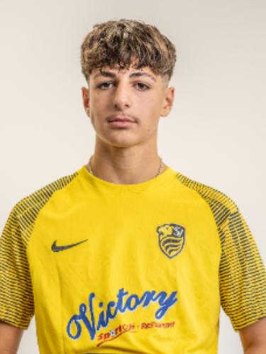 Philippos Chalepidis