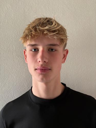 Levin Erb