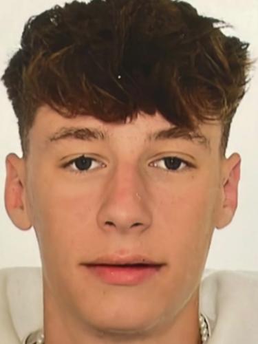 Maximilian Alexander Hanel