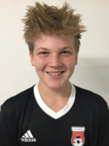 Julius Niklas Ernst Ferdinand Wagner