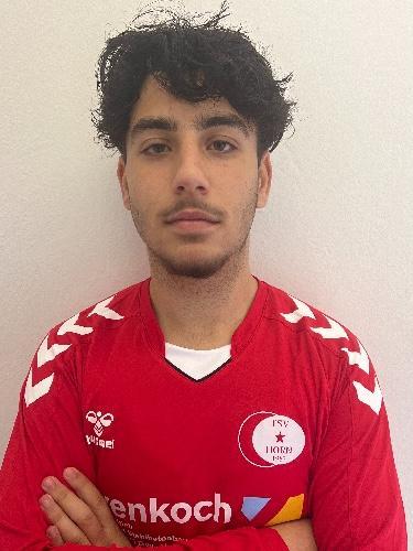 Youssef Mehebb Eddin