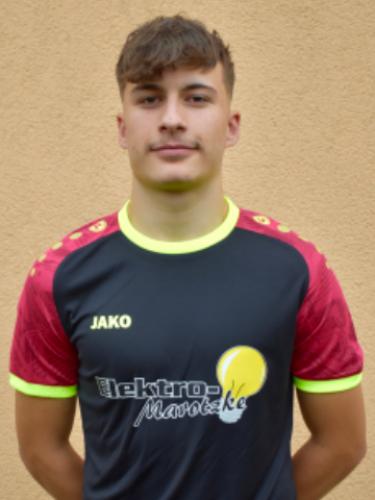 Timo Thomas Henz