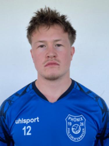 Theo Friedrich Wiener