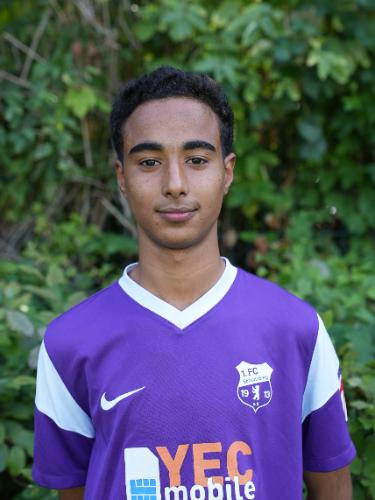 Saadeddine Saadaoui