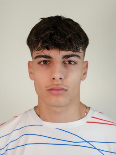 David Erletic