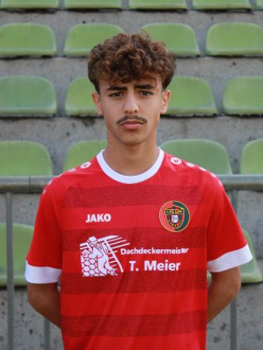 Mohamed Amin Mohamed
