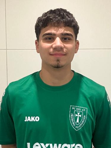 Matej Majic