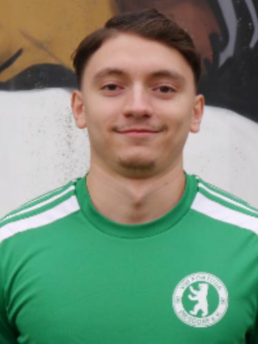Alexandru Strut