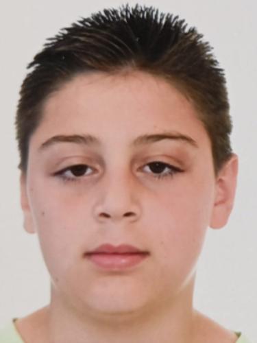 Ali Lian Zejneli