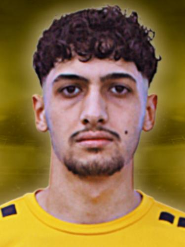 Niyazi Emir Cam