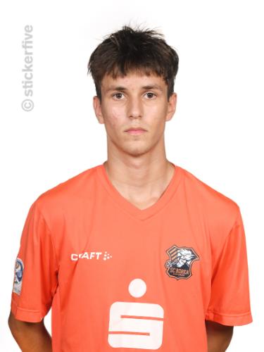 Alem Torlakovic