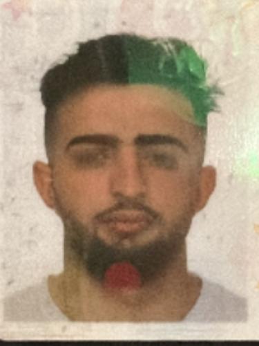 Dalshad Hamo Khalaf Khalaf