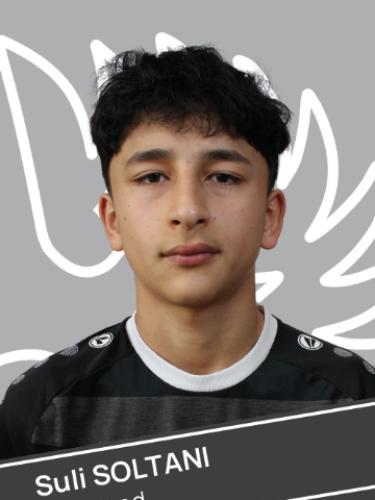 Soltanshah Soltani