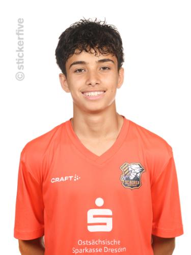 Taj Alddin Almugheer