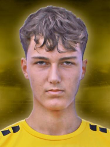 Dzenis Becic