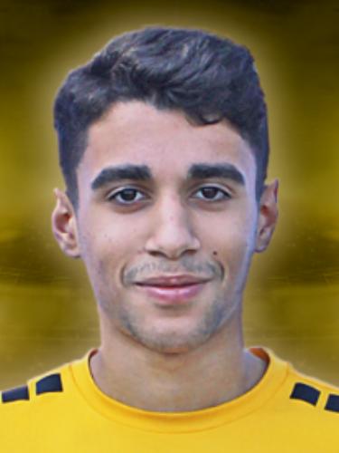 Seyed Parsa Lavasani