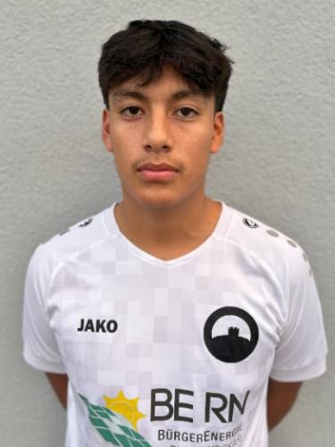 Brayan Mamani Beltran