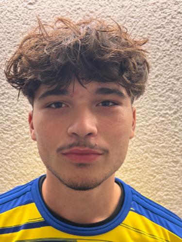 Luca-Luigi Tartaglia