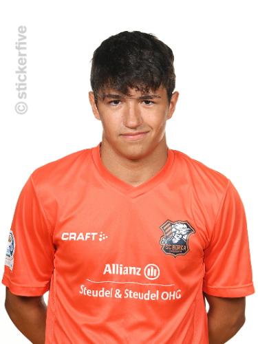 Xavier Enrique Araque Orjuela