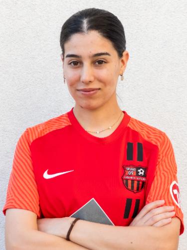 Dilan Ihsan Ridha Ridha