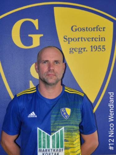 Nico Wendland
