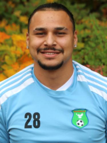 Florin-David Ion