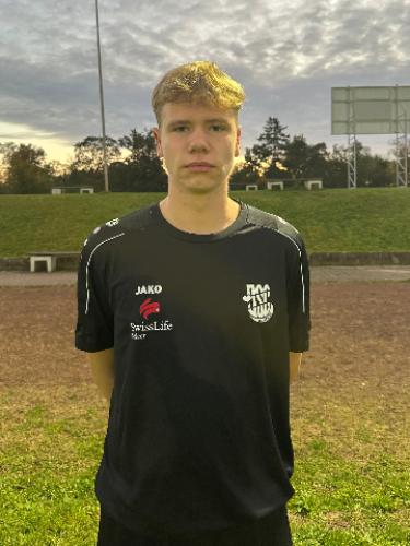 Niclas Hansal