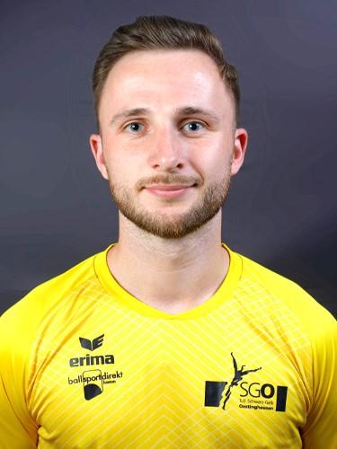 Marius Vogel
