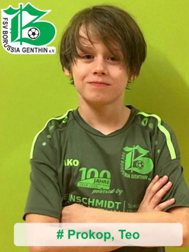 Teo Prokop