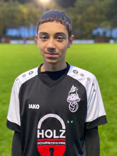 Majd Enawi