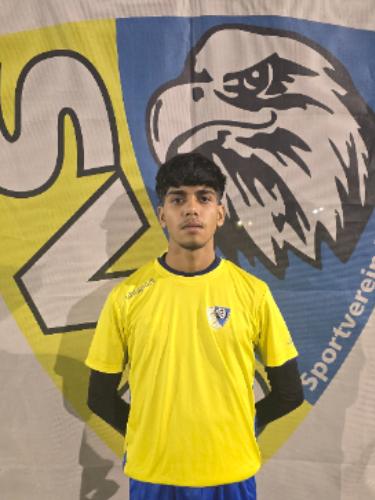 Mohammad Ali Mahbobi