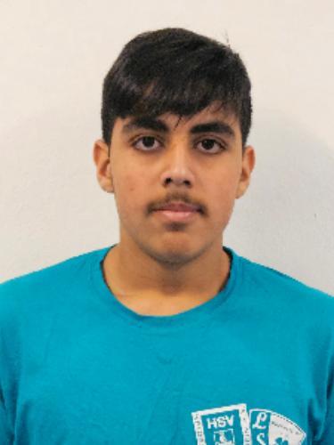 Mohamad Alhamidi Almoustafa
