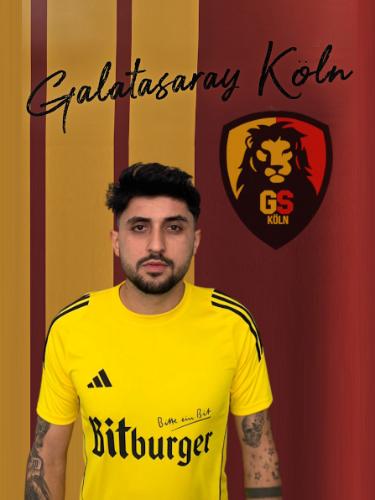 Ntemi Gkousenidis